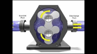 Rotary Pump Demonstration [upl. by Dorian956]