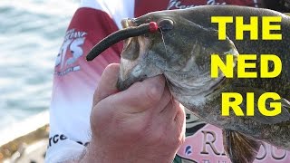 How To Fish The Ned Rig  Bass Fishing [upl. by Latsyrk]