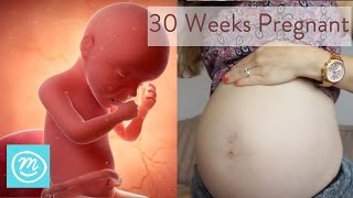 30 Weeks Pregnant What You Need To Know  Channel Mum [upl. by Piotr]