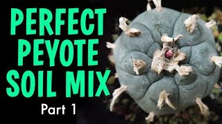 Perfect Peyote Soil Mix Part 1  Lophophora Williamsii soil recipe [upl. by Inerney]