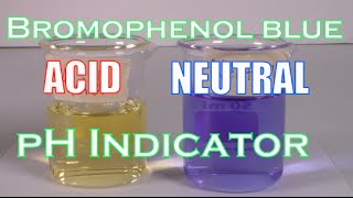 How to Make A Bromophenol Blue Solution pH Indicator [upl. by Lraep]