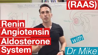 Renin Angiotensin Aldosterone system [upl. by Hubbard843]