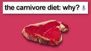 Carnivore Diet BEGINNERS GUIDE 2020 Everything You Need to Know to Get Started [upl. by Juieta176]