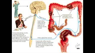 Loose Stool From Magnesium Heres What to Do [upl. by Namra273]