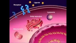 Introduction to Cancer Biology Part 1 Abnormal Signal Transduction [upl. by Anuaik]