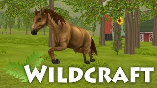 Life As A Wild Horse 🌿 WildCraft • 2 [upl. by Christensen]