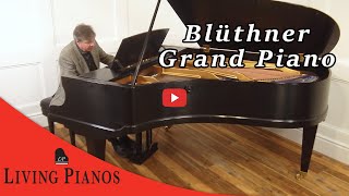 Blüthner Grand Piano Review  Living Pianos [upl. by Nnahtur654]