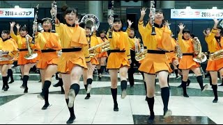 京都橘高校 吹奏楽部 in 東京 Kyoto Tachibana SHS Band in Tokyo [upl. by Nosrej470]