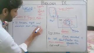 9 class Biology unit 4 Lecture 18 Turgor its importance and Plasmolysis in Plants [upl. by Alison]