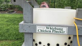 The Very First Whizbang Chicken Plucker [upl. by Lemuela32]