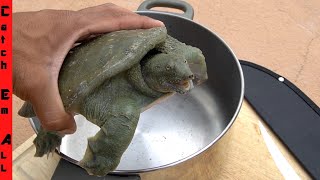 TURTLE COOKING Taste GOOD [upl. by Nazar]