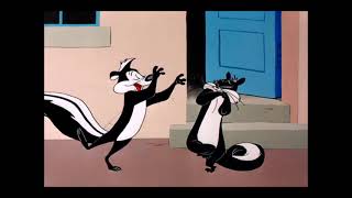 Penelope Pussycat amp Pepé Le Pew Wooing Compilation  Looney Tunes [upl. by Elleimac517]