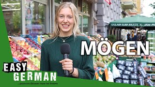 Irregular Verbs Mögen  Super Easy German 103 [upl. by Jodoin703]