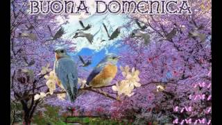 Video GIF Buona domenica [upl. by Yancey]