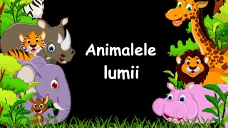 Animalele lumii ☛Animalele salbatice☚ [upl. by Riccio]