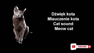 MIAUCZENIE KOTA  ODGŁOSY KOTA  DŹWIĘKI KOTA  CAT SOUNDS 🐱 [upl. by Nrehtak]