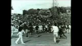 Football Hooligan Documentary [upl. by Nnyleimaj]