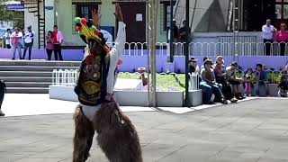 Danza tipica en la mitad del mundo quotEl Diablo Humaquot [upl. by Eittod]