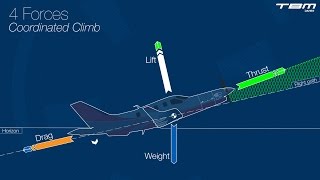 Principles of flight – Part 1  Fundamentals [upl. by Akinor]