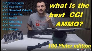 Best CCI Ammo 100 Meters accuracy test [upl. by Ilonka]