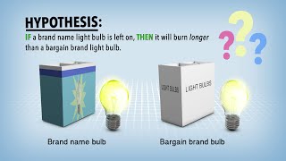 Biology Independent vs Dependent Variables [upl. by Price574]