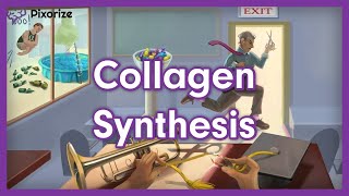 Collagen Synthesis USMLE Mnemonic Preview [upl. by Theodosia125]