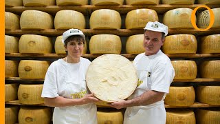 Parmigiano Reggiano how the King of Italian cheese is made [upl. by Thisbee638]