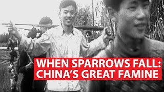 When Sparrows Fall Chinas Great Famine  Asian Century [upl. by Dnalyr]