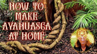 How to Make Ayahuasca Super Easy [upl. by Yrakcaz]