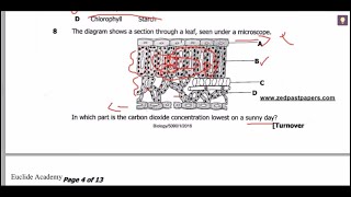 BIOLOGY PAST PAPER REVISION 2016 ECZ [upl. by Anha]