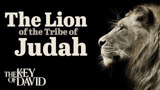 The Lion of the Tribe of Judah [upl. by Divaj]