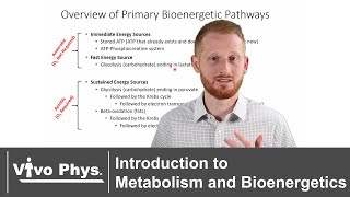 Introduction to Metabolism and Bioenergetics [upl. by Oliviero]