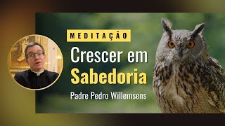 Meditação A sabedoria [upl. by Meador]