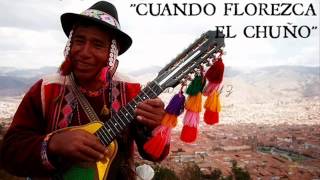 CUANDO FLOREZCA EL CHUÑO  CHARANGO QUENA Y ZAMPOÑA [upl. by Nnayr526]