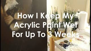 Keeping acrylic paint wet with Masterson StaWet Palette [upl. by Naynek916]