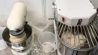 Kitchenaid vs Maxima MSM 8  making Pizza dough [upl. by Rhtaeh]