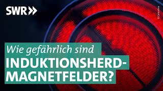 Induktionsherde als unterschätzte Gefahr I Marktcheck SWR [upl. by Annaihr967]