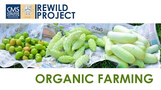 Organic Farming  Rewild Project [upl. by Nosliw]