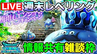 【ドラクエウォーク】キャンペーン内容共有しつつ、週末レベリング着手【DQW】 [upl. by Yltneb163]