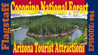 Coconino National Forest near Flagstaff city Arizona USA [upl. by Nida]