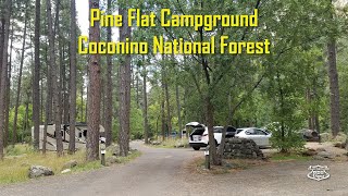 360 Video Tour of Pine Flat Campground in Oak Creek Canyon Coconino National Forest  Sedona Arizona [upl. by Latin]