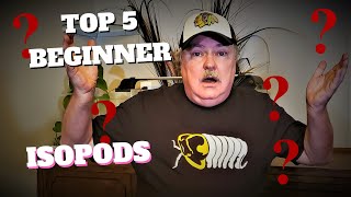 Top 5 Beginner Isopods [upl. by Chute980]