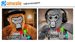 OMEGLE Trolling in Gorilla Tag [upl. by Groh]