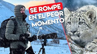 COMPLICACIONES con el LEOPARDO DE LAS NIEVES 🥵 [upl. by Arraeic]