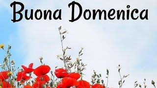 BUONA DOMENICA [upl. by Allehcim]