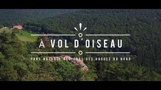 Le parc naturel régional des Vosges du Nord à vol doiseau [upl. by Haimaj]