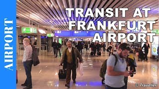 TRANSIT WALK AT FRANKFURT Airport FRA Terminal 1  Connection Flight Transfer Arriving amp Departing [upl. by Aleil]