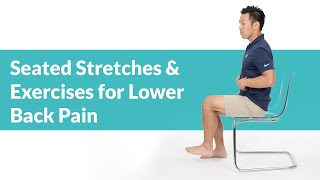 Back Stretches  Exercises  For LOWER BACK PAIN [upl. by Annaerb]