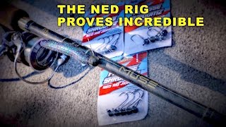 How to Fish Ned Rigs for Bass [upl. by Chandos]