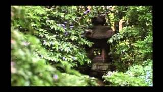 Dream Window Reflections on the Japanese Garden [upl. by Emeric552]